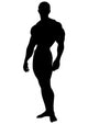 Standing Pose Body Builder Wall Decal