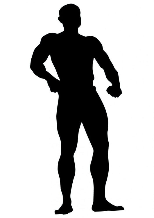 Body Builder Wall Decal