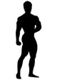 Posing Body Builder Silhouette Wall Decal