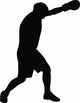 Wide Angle Punch Boxing Wall Decal