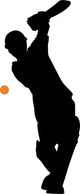 Batter Ready Cricket Silhouette Wall Decal