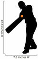 Batter Hitting Cricket Silhouette Wall Decal