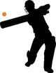 Cricket Silhouette Wall Decal