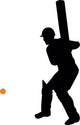Cricket Silhouette Wall Decal