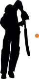 Cricket Silhouette Wall Decal