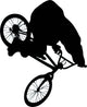 Landing BMX Wall Decal