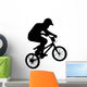 BMX Wall Decal