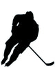 Ice Hockey Silhouette Wall Decal