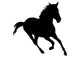 Galloping Horse Wall Decal