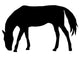 Horse Silhouette Wall Decal