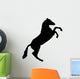 Rearing Horse Silhouette Wall Decal