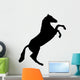 Rearing Horse Silhouette Wall Decal