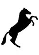 Rearing Horse Silhouette Wall Decal