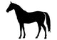 Facing Left Horse Standing Wall Decal