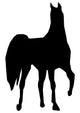 Fancy Horse Silhouette Wall Decal