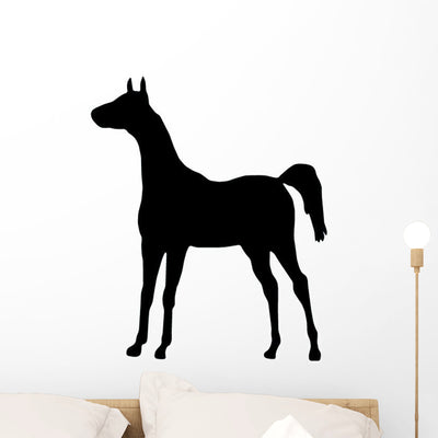 Little Colt Wall Decal shown on a wall