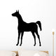Little Colt Wall Decal