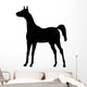 Little Colt Wall Decal