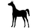 Little Colt Wall Decal