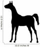 Little Colt Wall Decal