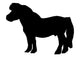 Shetland Pony Wall Decal