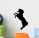 Tall Rearing Horse Wall Decal