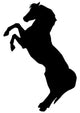Tall Rearing Horse Wall Decal