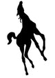 Whinnying Electric Horse Foal Wall Decal