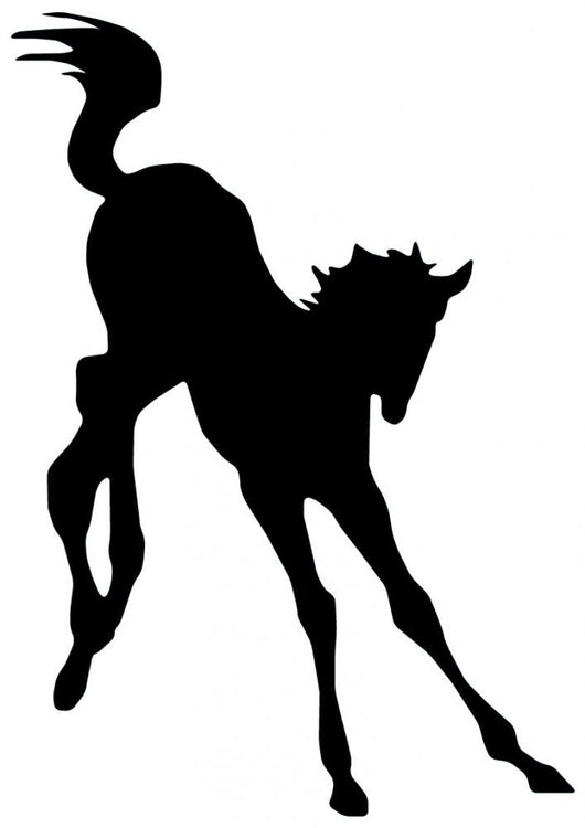 Happily Playing Colt Horse Wall Decal