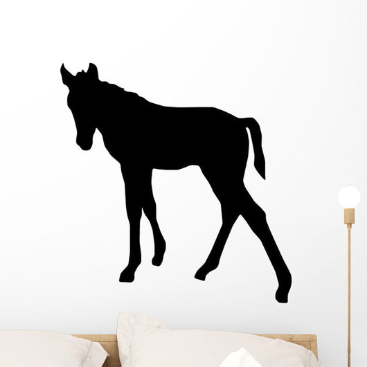 Silhouetted Foal Horse Wall Decal