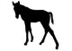 Silhouetted Foal Horse Wall Decal