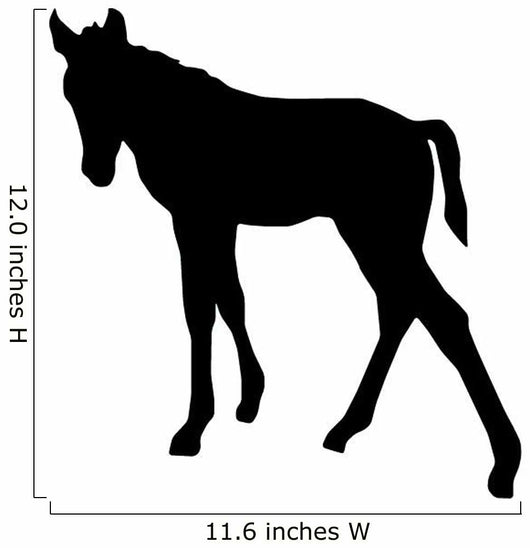 Silhouetted Foal Horse Wall Decal