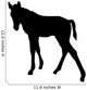 Silhouetted Foal Horse Wall Decal