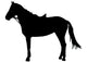 Facing Left Bridled Horse Wall Decal