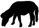 Hairy Shetland Pony Wall Decal