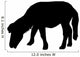 Hairy Shetland Pony Wall Decal