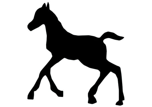 Brand New Baby Horse Wall Decal