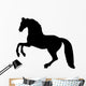 Horse Silhouette Wall Decal
