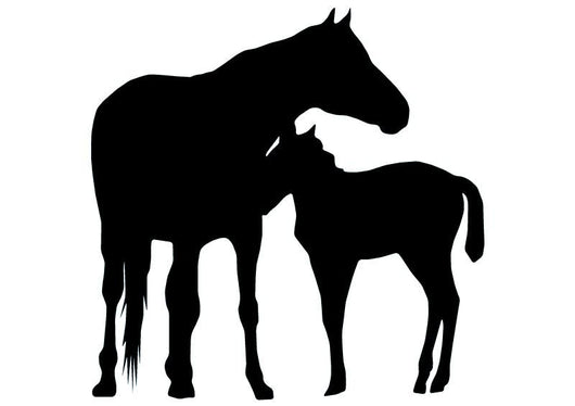 Horse Mother and Foal Wall Decal