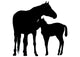 Horse Mother and Foal Wall Decal