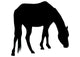 Calmly Grazing Horse Silhouette Wall Decal
