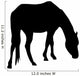 Calmly Grazing Horse Silhouette Wall Decal