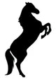 Horse Rearing Facing Right Wall Decal