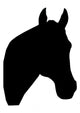 Facing Right Horse Head Wall Decal