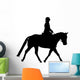 Horseback Rider Walking Wall Decal