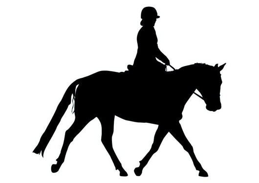 Horseback Rider Walking Wall Decal