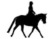 Horseback Rider Walking Wall Decal