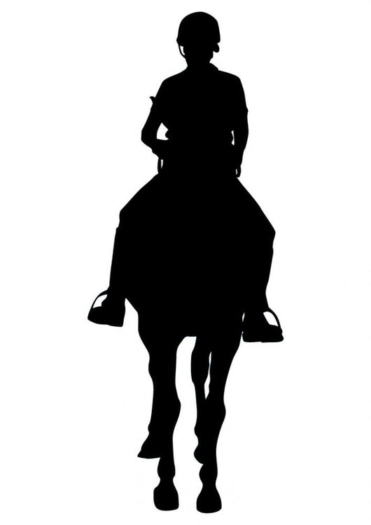 Horseback Rider Front Wall Decal