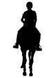 Horseback Rider Front Wall Decal