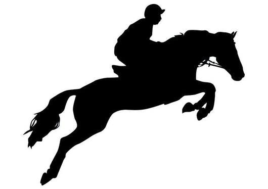 Horseback Rider Jumping Wall Decal